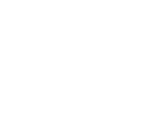 MEGA NATURA USA CORP – Productos naturales